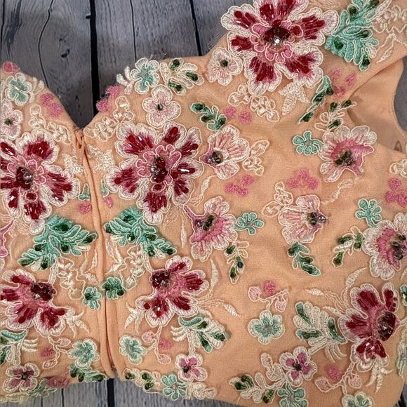 NWT 2 CUTE J Michaels Blush Peach Tulle Two Piece Formal Prom Wedding Dress 16 - Picture 14 of 16